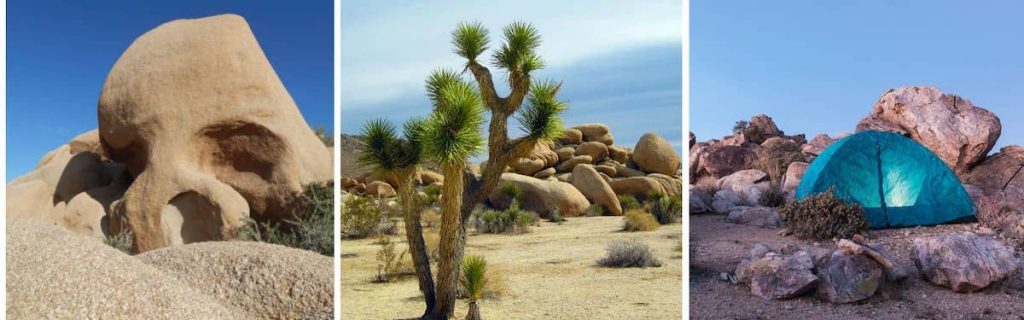 The Campground at Joshua Tree National Park