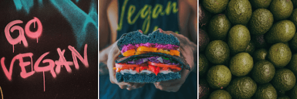 Images depicting a Vegan Lifestyle