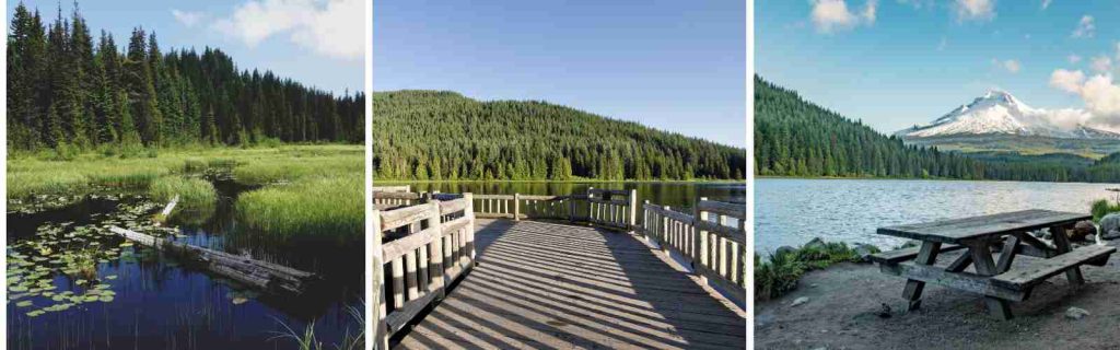 Trillium Lake Best Oregon Campsites