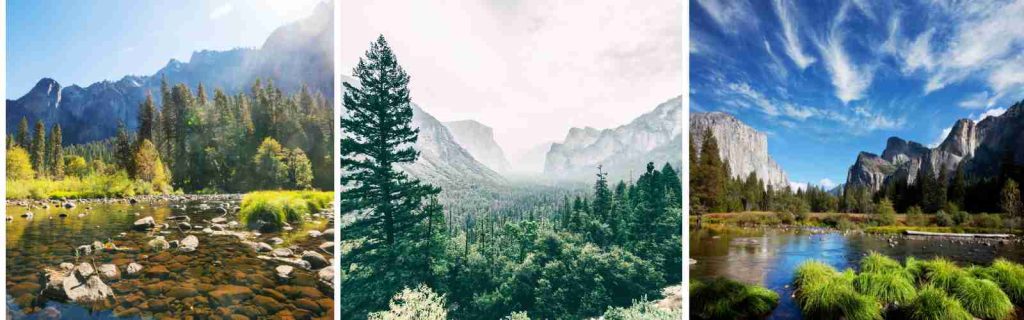 Yosemite Pines Campsites in California