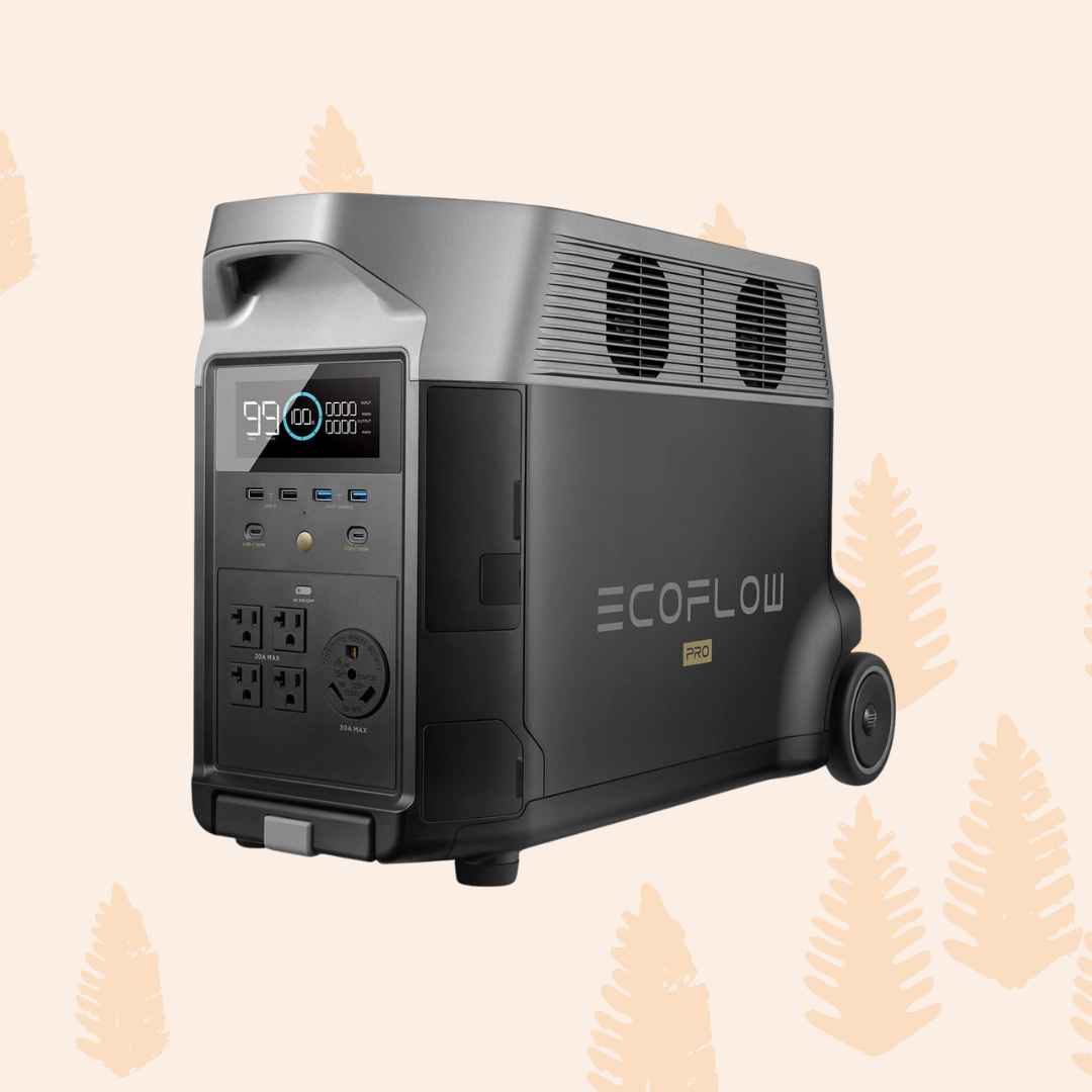 EcoFlow Delta Pro