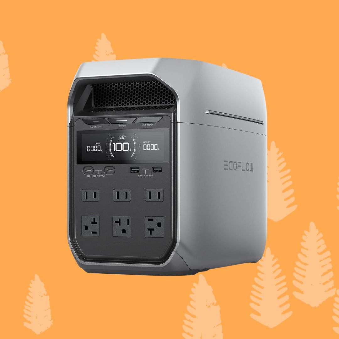 Bluetti vs EcoFlow: The Ultimate Comparison Based on Research, Not Hype 2 EcoFlow Delta 3 Plus