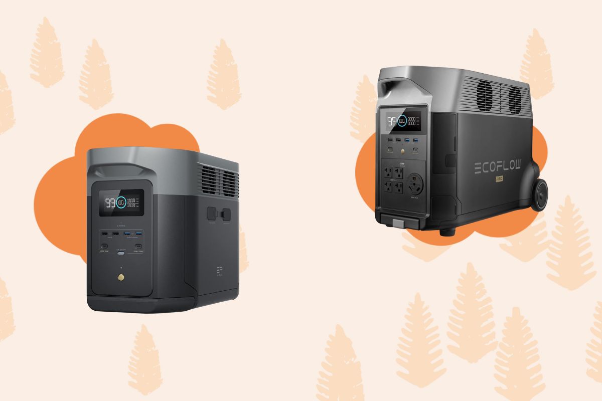 EcoFlow Delta 2 Max vs Delta Pro