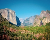 The Best Campgrounds In Yosemite National Park